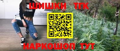 гидропоника Будённовск