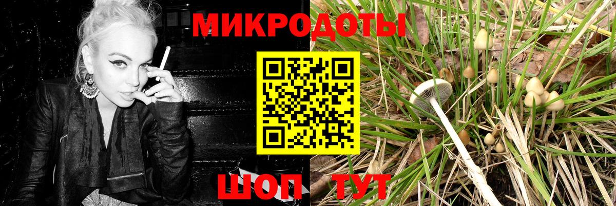 Псилоцибиновые грибы Psilocybine cubensis Сосновый Бор
