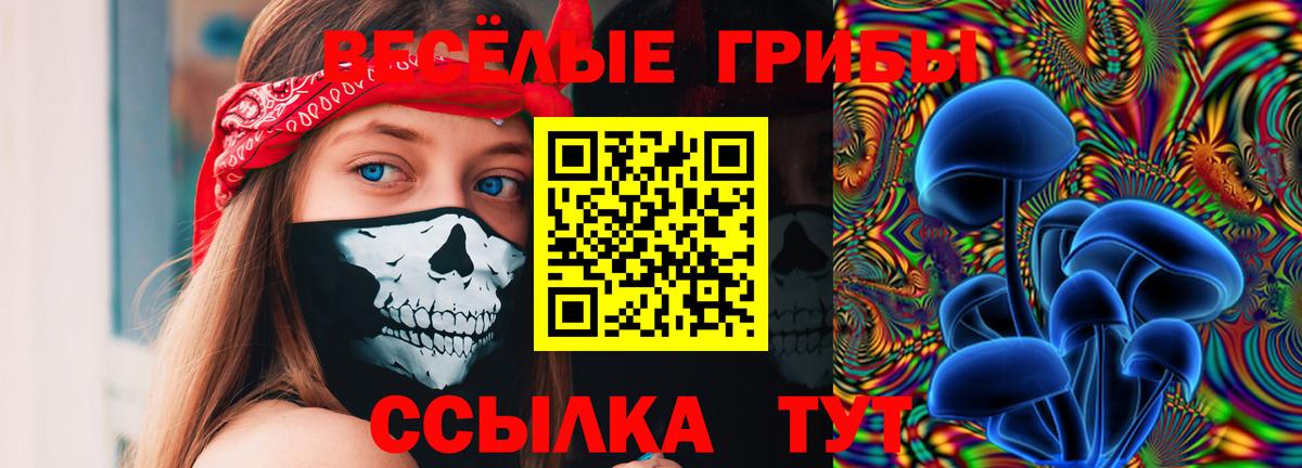 Сосновый Бор  Псилоцибиновые грибы прущие грибы  Вход с VPN 