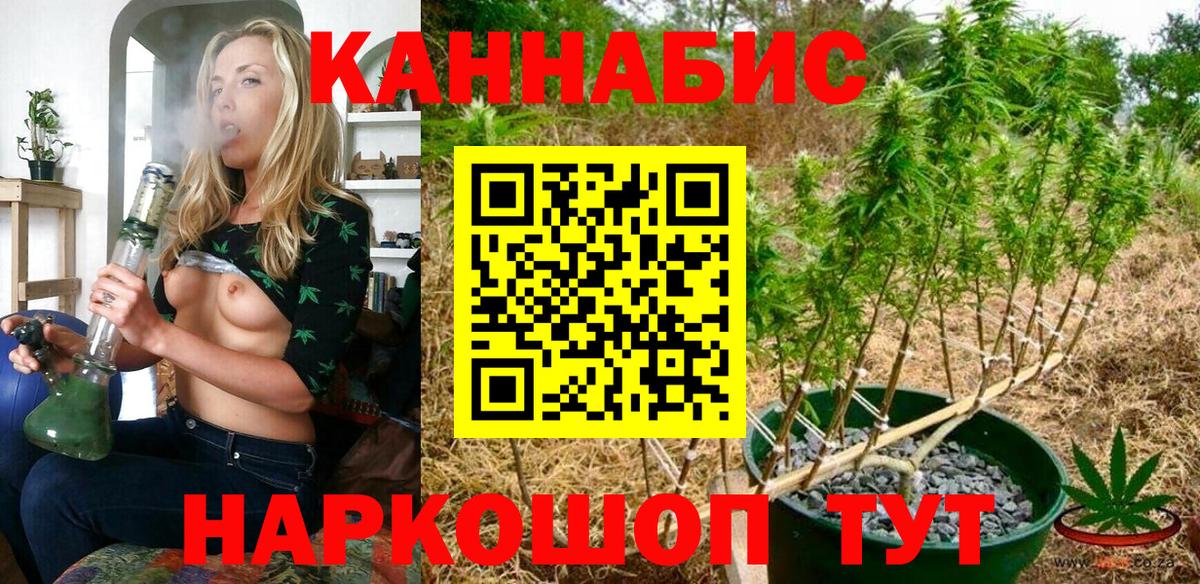 Бошки Шишки индика Сосновый Бор